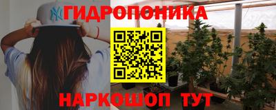 2c-b Новозыбков
