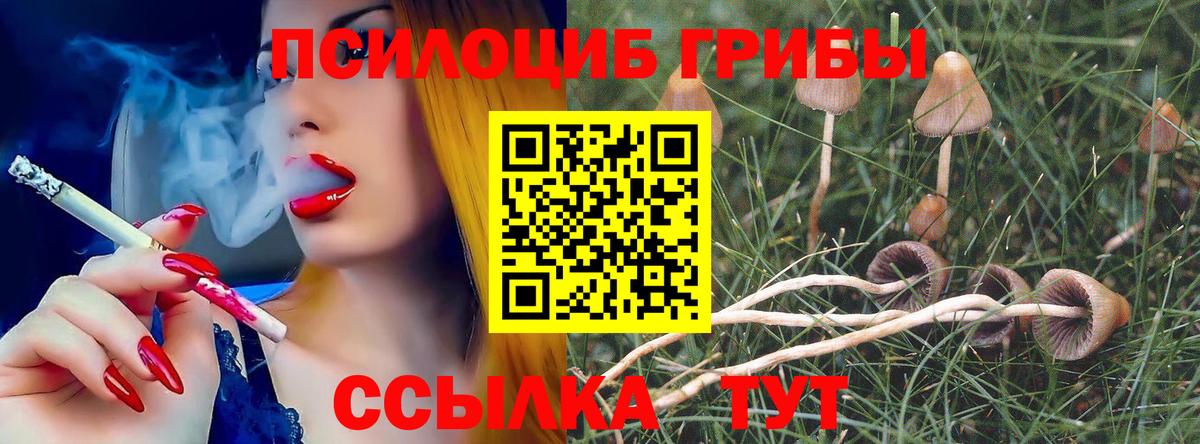 Ростов Великий  Псилоцибиновые грибы Magic Shrooms  Вход с VPN 